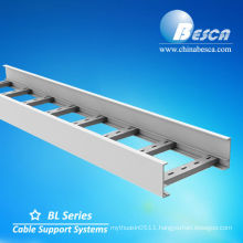 NEMA 12A 12C Ladder type Cable Tray